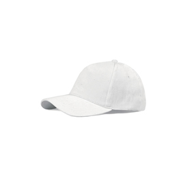 PM101BI